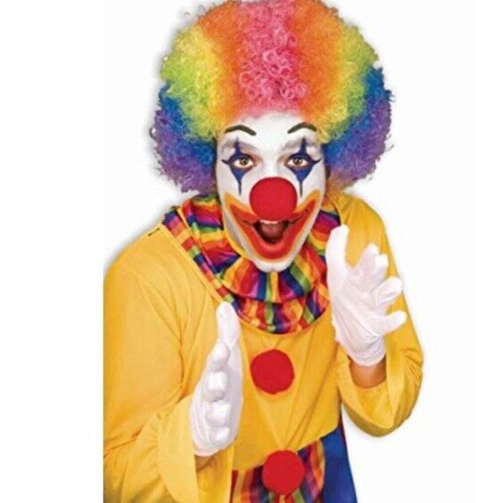 Rainbow Clown Wig